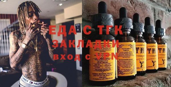 гашик Касимов