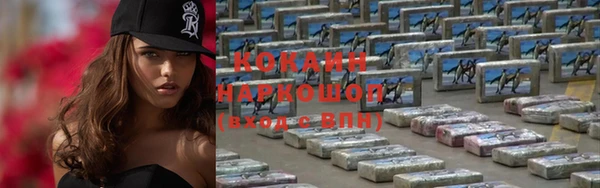 гашик Касимов