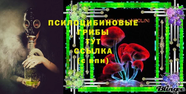 гашик Касимов