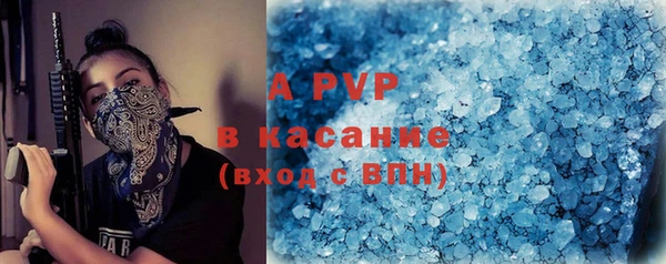 гашик Касимов