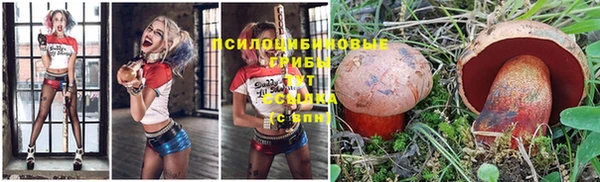 метадон Карталы