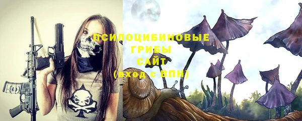 гашик Касимов